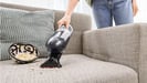 Bosch Serie 4 BBH3K2801 aspiradora de pie y escoba eléctrica Aspiradora escoba 2 en 1 Batería Secar Sin bolsa Plata
