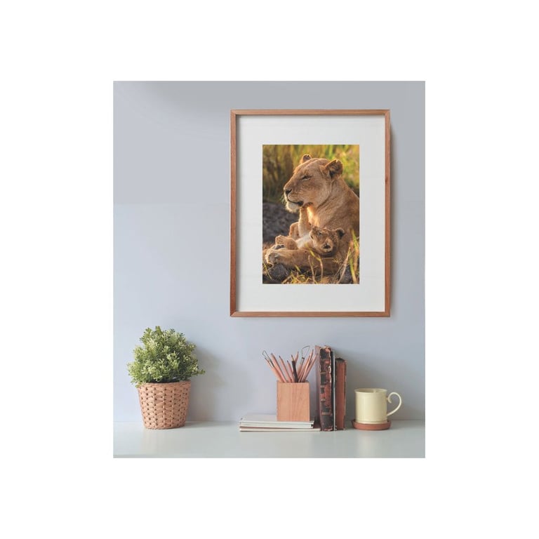 Puzzle 500 pièces Clementoni Compact Feline Love 49 x 36 cm avec poster Tons chauds Neuf - vue 2