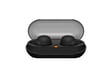 Sony WF-C500 Casque True Wireless Stereo (TWS) Ecouteurs Appels/Musique Bluetooth Noir