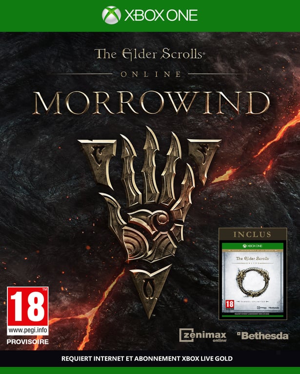 The Elder Scrolls Online Morrowind Ps4 - vue 8
