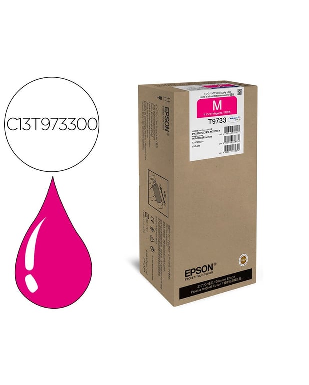 Epson WorkForce Pro WF C869R Ink Su - vue 4