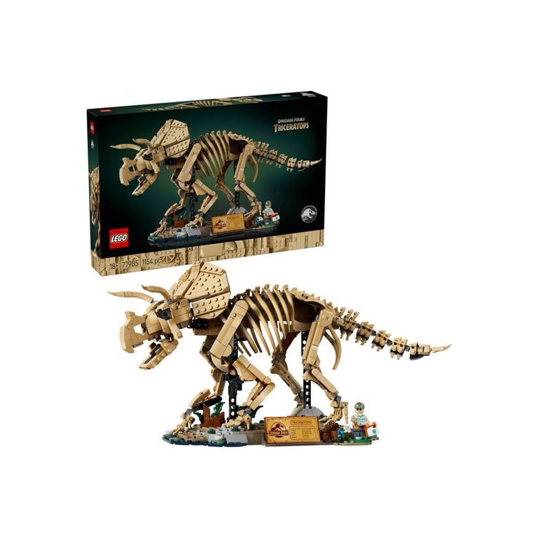Les fossiles de dinosaure: le tricératops - vue 4