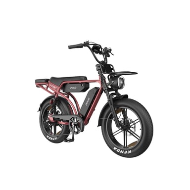 Bicicleta eléctrica PIXAR M9 con suspensión completa y doble batería de 48 V y 35 Ah - color dorado