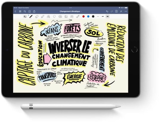 Apple Pencil 1ère Generation Lightning + adaptateur usb-c - Blanc - Neuf