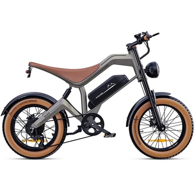 DYU M20 Bicicleta eléctrica todo terreno – Motor 250 W, batería 48 V 18,2 Ah, autonomía 160 km, frenos de disco dobles, horquilla con suspensión, bicicleta eléctrica urbana polivalente.