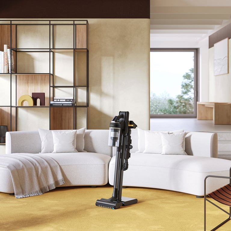 Jet 95 Pet Extra 2 batteries VS20C95D2TK - vue 4