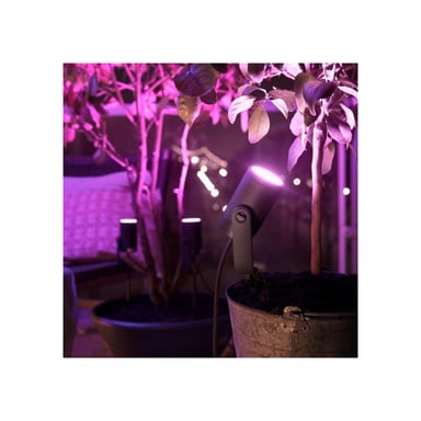 Foco exterior conectado Philips Hue Lily White and Color Ambiance Extensión Negro