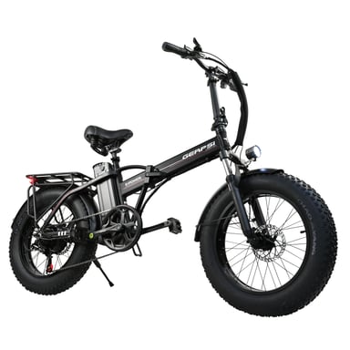 Bicicleta eléctrica BAOLUJIE DZ2002 con neumáticos anchos para adultos, batería extraíble de 48 V y 16 Ah - negra