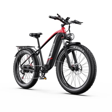 Bici elettrica DUOTTS F26Lite 500W 48V 18AH 26x4.0 pollici pneumatici Fat