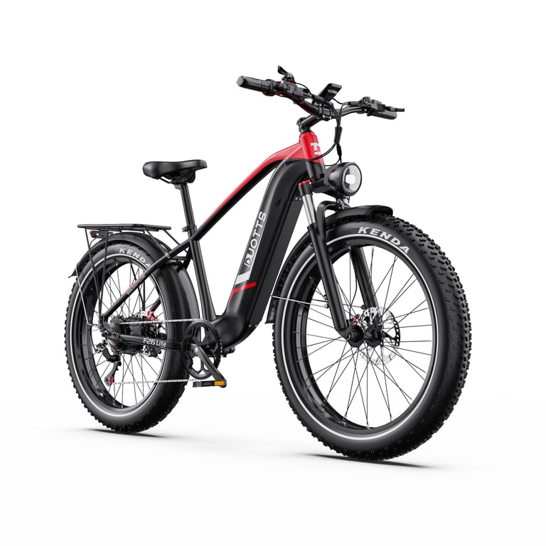 Vélo électrique DUOTTS F26Lite 48 V 18 Ah 26 x 4 pouces pneus larges Neuf
