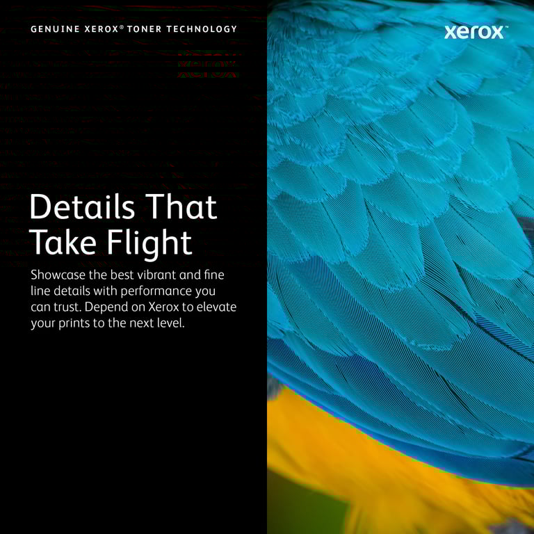 Xerox 006R01824 Cartouche de toner 1 pièce Original - vue 4