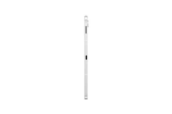 Samsung Galaxy Tab S10 FE 10,9'' 12GB-256GB WiFi Plata (Silver) X520B