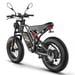 Vélo électrique FAFREES F20 Ultra (Homologation UE L1e-B) - Moteur 750 W batterie 48V25Ah pneu large 20 pouces Freins hydrauliques - Gris
