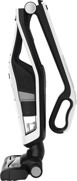 Rowenta Dual Force - vue 3