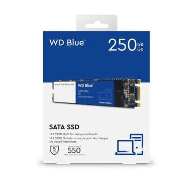 Western Digital Blue 3D M.2 250 GB