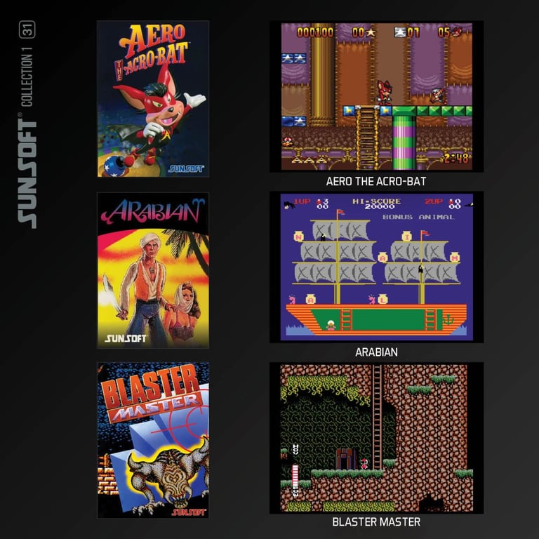 Blaze Evercade Sunsoft Collection Cart 31 Console RETROGAMING - vue 3