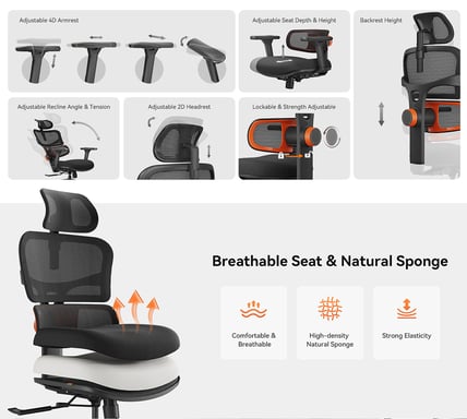 NEWTRAL Chaise Standard NT001 avec soutien lombaire adaptatif, chaise ergonomique, accoudoirs et appuie-tête réglables, base en nylon