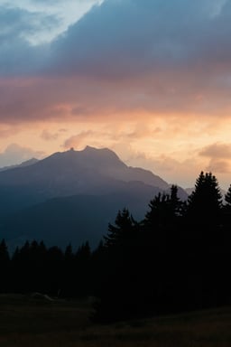 Canon EOS R6 Mark II Cuerpo MILC 24,2 MP CMOS 6000 x 4000 Pixeles Negro