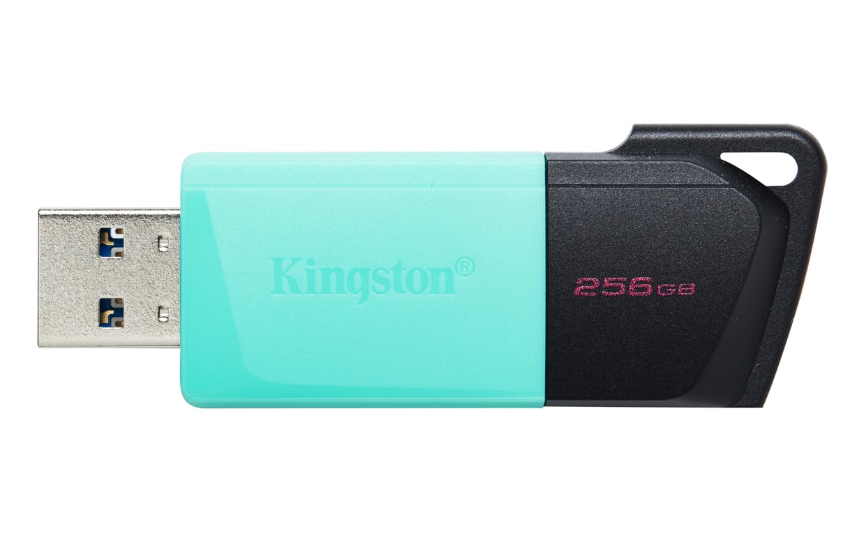 Kingston Technology DataTraveler 256GB USB3.2 Gen1 Exodia M (Noir + Turquoise) - Neuf