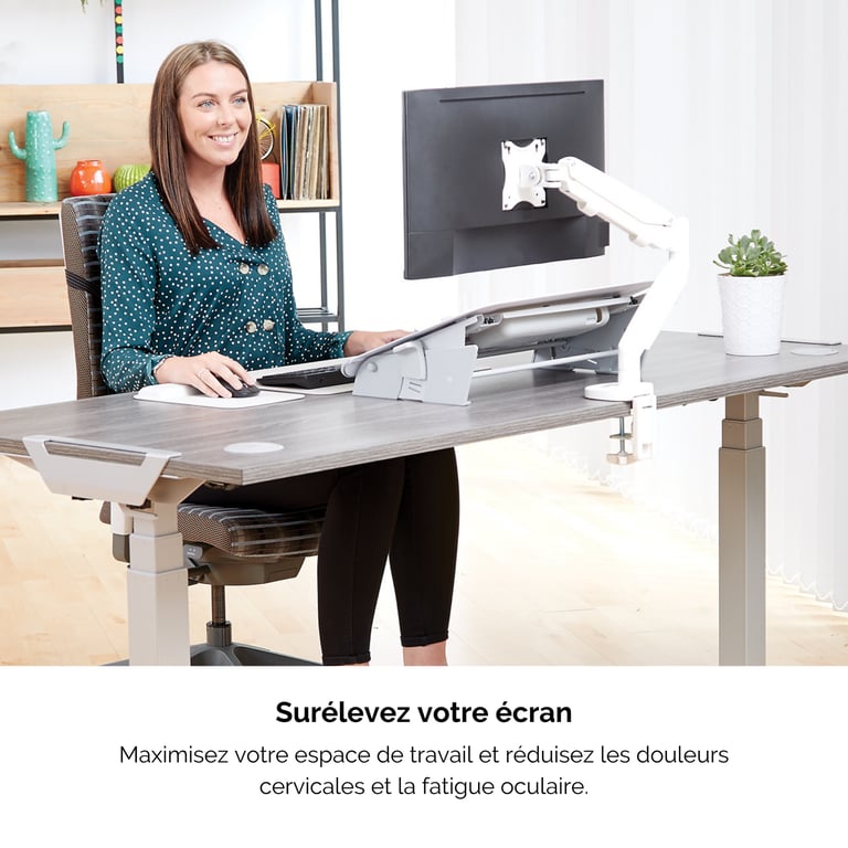 Fellowes Bras porte écran simple EPPA - vue 2