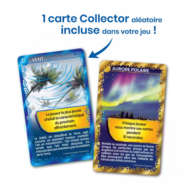 Bioviva Défis Nature Abeilles et autres pollinisateurs Jeu de bataille - vue 2