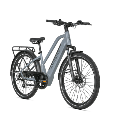 Bici elettrica per adulti JOBOBIKE Astra 250W 36V15AH Batteria