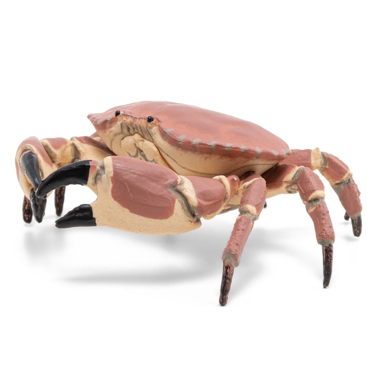 Papo Crabe Neuf