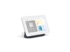 Assistant vocal GOOGLE Nest Hub 2 Charbon