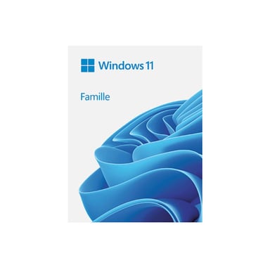 Microsoft Windows 11 Home 64bit (IT) DSP OEI DVD
