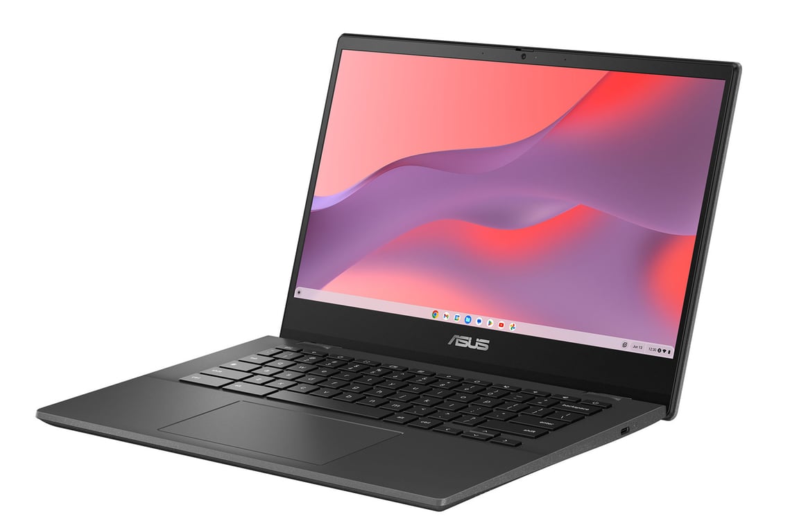 Ordinateur Portable Asus Chromebook CM1402CM2A EK0074 - vue 4