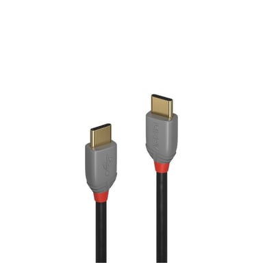 Lindy 36872 câble USB 2 m USB 2.0 USB C Noir, Gris