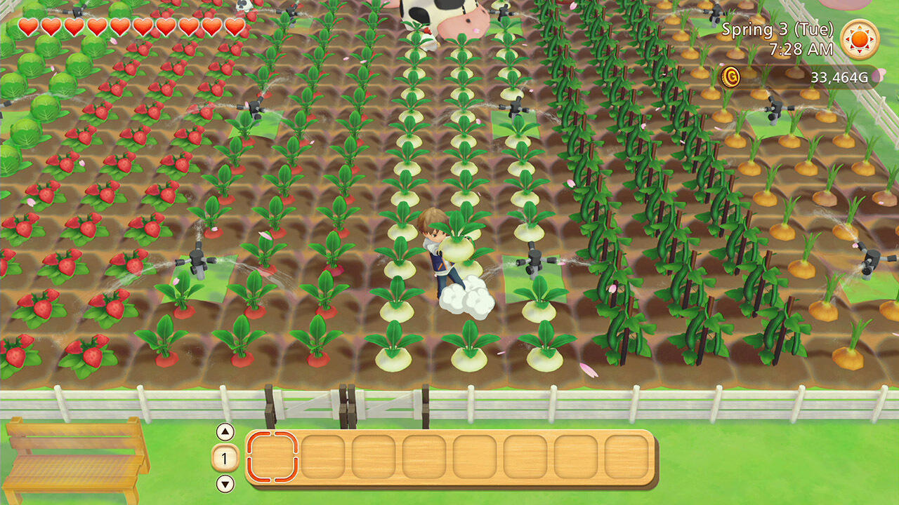 Story of Seasons : Pioneers of Town Jeu Switch - vue 3