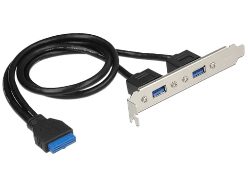 DeLOCK 84836 scheda di interfaccia e adattatore Interno USB 3.2 Gen 1 [3.1 Gen 1] (Delock Slotblech 2x USB3.0 extern)