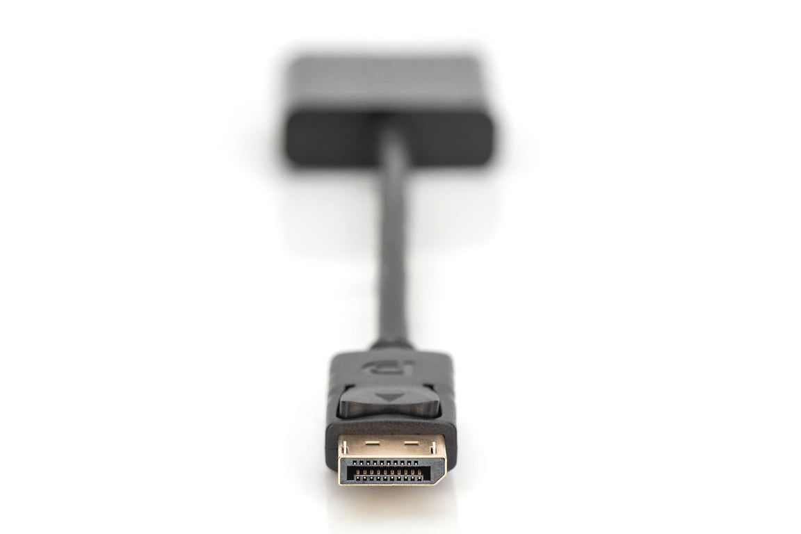 Digitus Câble d'adaptateur DisplayPort Neuf - vue 3