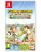 Story of Seasons: A Wonderful Life Nintendo SWITCH