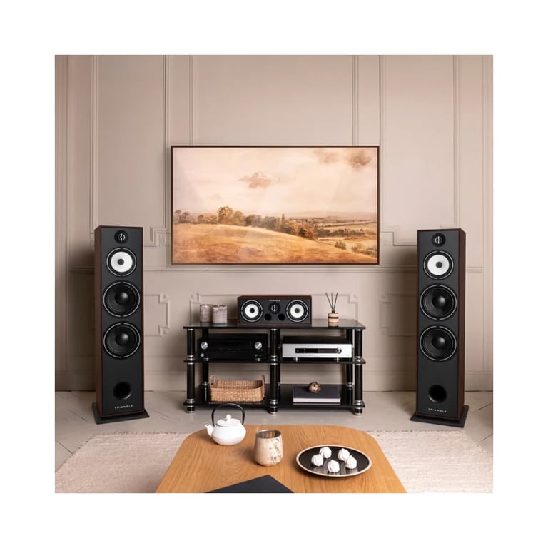 Enceinte colonne Triangle BR10 Noyer vendue à 'unité - vue 3