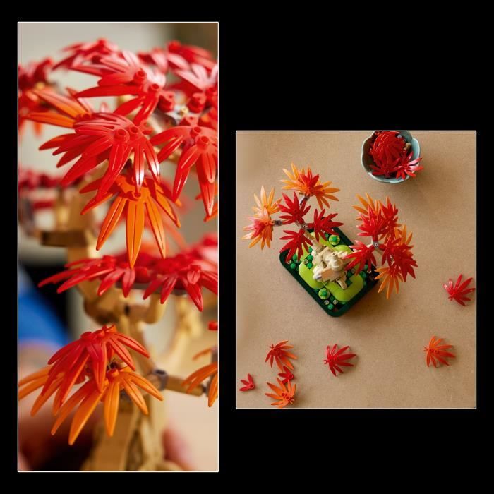 Botanicals 10348 Bonsai d'Érable Rouge du Japon - Kit de Construction pour Adulte - Neuf