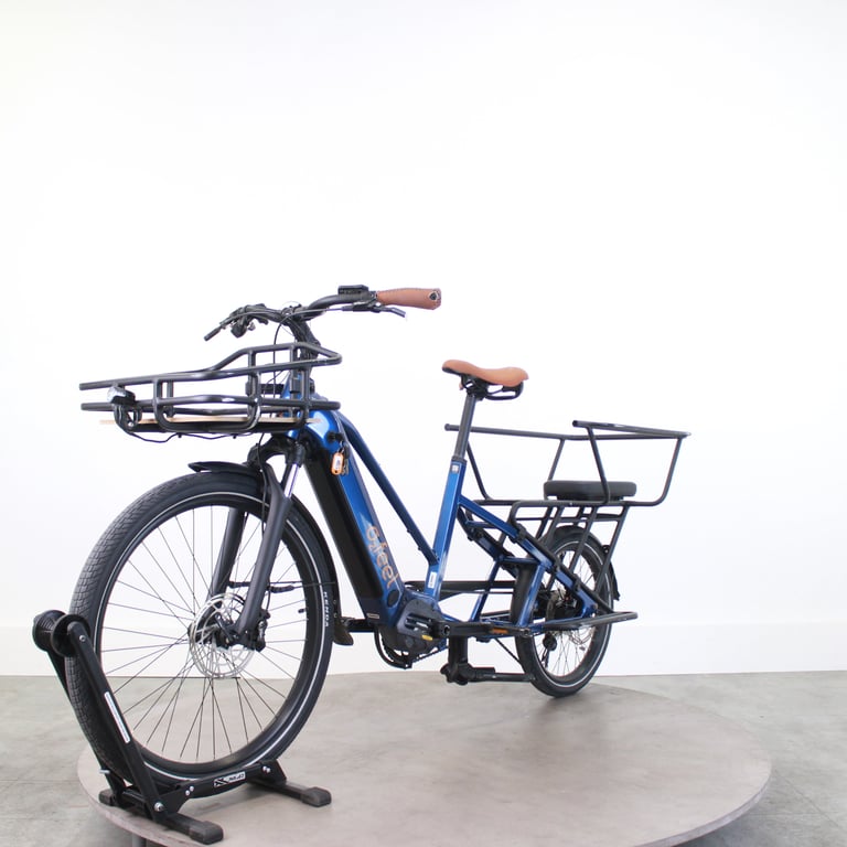 Vélo Électrique Tenways CGO600 Plus PG Idéal pour Vos Déplacements Quotidiens - vue 3