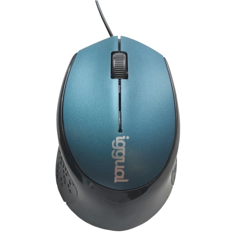 iggual IGG317556 souris Bureau Droitier USB Type-A Optique 800 DPI - Neuf