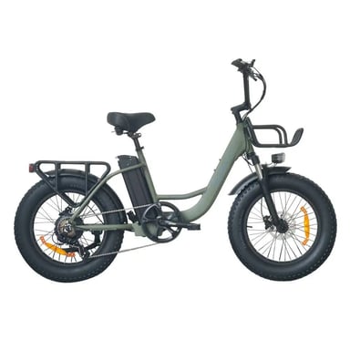 VéLo Électrique B5 | Moteur 250W | Batterie 48V 12.5Ah | Pneus 20 Pouces | Vitesse Max 25 km/h | Autonomie 40-80 km | Vert