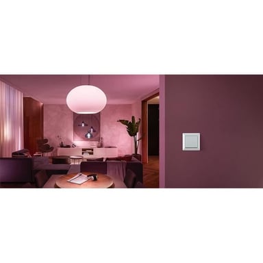 Philips Module d'interrupteur mural Hue