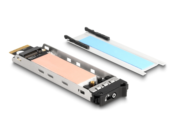 DeLOCK Rack mobile de carte PCI Express pour 1 x .2 NVMe SSD Facteur de forme à profile plat Neuf - vue 3