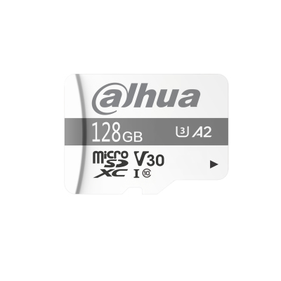 Dahua Technology DHI TF P100 MicroSDXC UHS I Classe 10