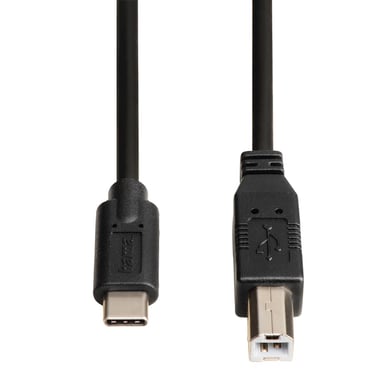 Cavo USB-C, USB 2.0, c . maschio USB-C - c . maschio USB-B, 480 Mbit/s, 1, 80m