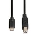 Cavo USB-C, USB 2.0, c . maschio USB-C - c . maschio USB-B, 480 Mbit/s, 1, 80m