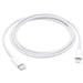 Cable Lightning a USB-C (1 m)