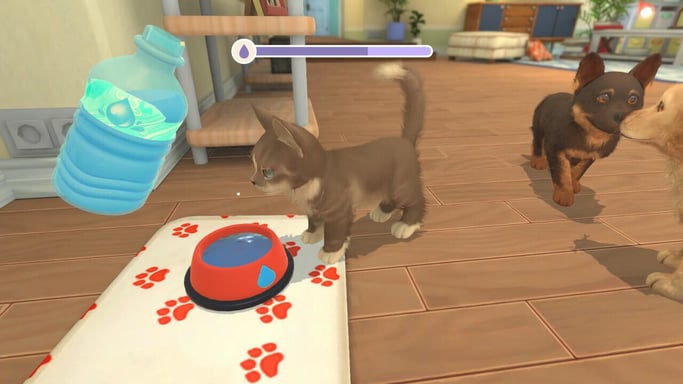 Microids Il mio universo: il mio bambino - Cani e gatti Standard
