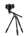 Benro FGP18A tripode Digitales / cámaras de película 3 pata(s) Negro