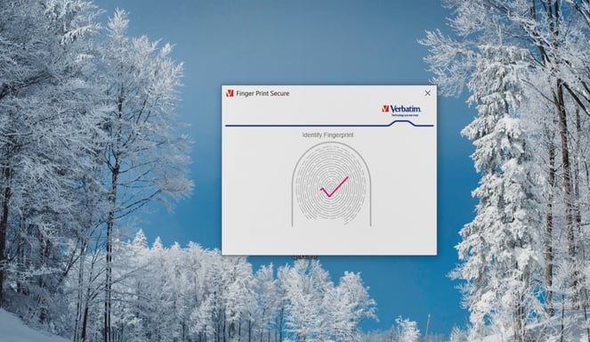 Verbatim FingerPrint Secure - Unidad USB 3.0 de 32 GB cifrada con reconocimiento de huellas dactilares - Marrón/Plata
