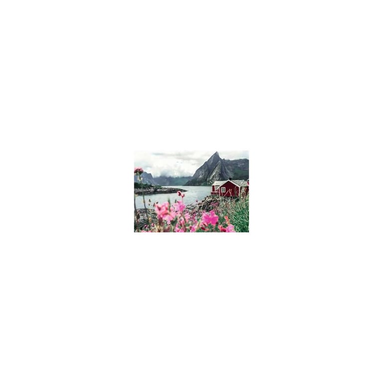 Puzzle 1000 pièces : Reine Lofoten Norvège Ravensburger France - vue 5